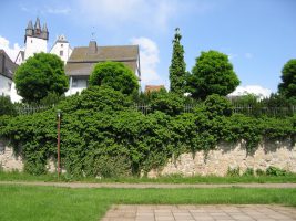 Ihr Immobilienmakler für den Rhein-Lahn-Kreis : Diez von der Lahn aus gesehen