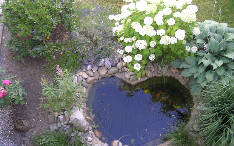 Angelegter Garten mit Teich